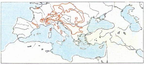 Diffusione dell'Abete bianco