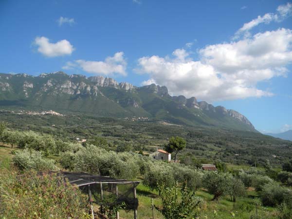 Alburni
